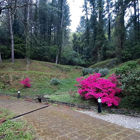Il Bosco Di Campo Marzano Studios Borzonasca Екстер'єр фото