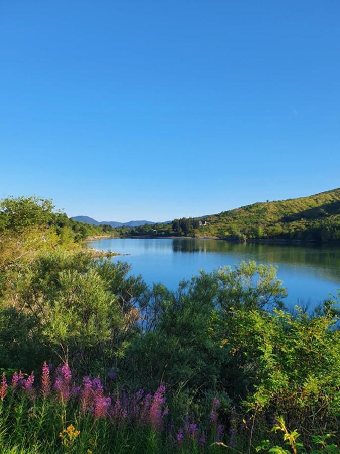 Il Bosco Di Campo Marzano Studios Borzonasca Екстер'єр фото