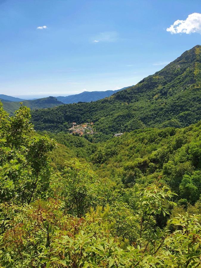 Il Bosco Di Campo Marzano Studios Borzonasca Екстер'єр фото