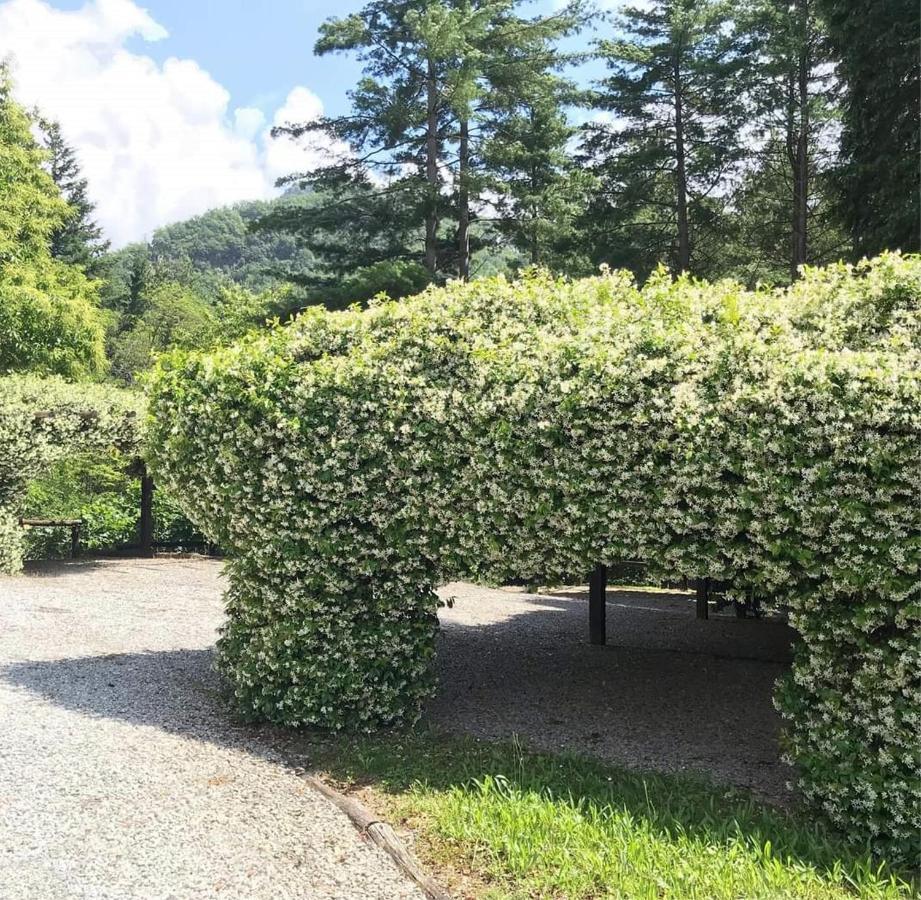 Il Bosco Di Campo Marzano Studios Borzonasca Екстер'єр фото