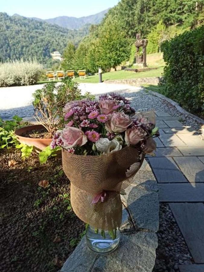 Il Bosco Di Campo Marzano Studios Borzonasca Екстер'єр фото