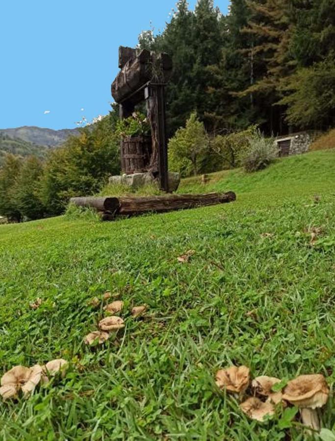 Il Bosco Di Campo Marzano Studios Borzonasca Екстер'єр фото