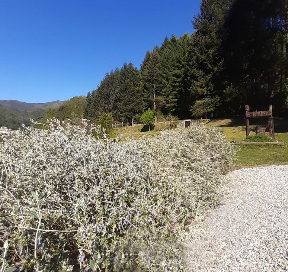 Il Bosco Di Campo Marzano Studios Borzonasca Екстер'єр фото