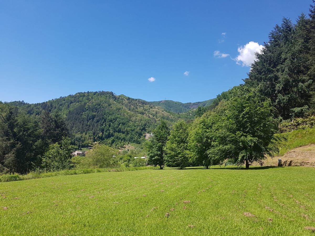 Il Bosco Di Campo Marzano Studios Borzonasca Екстер'єр фото