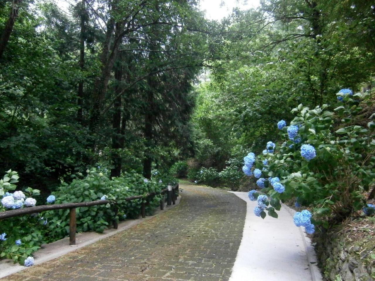 Il Bosco Di Campo Marzano Studios Borzonasca Екстер'єр фото