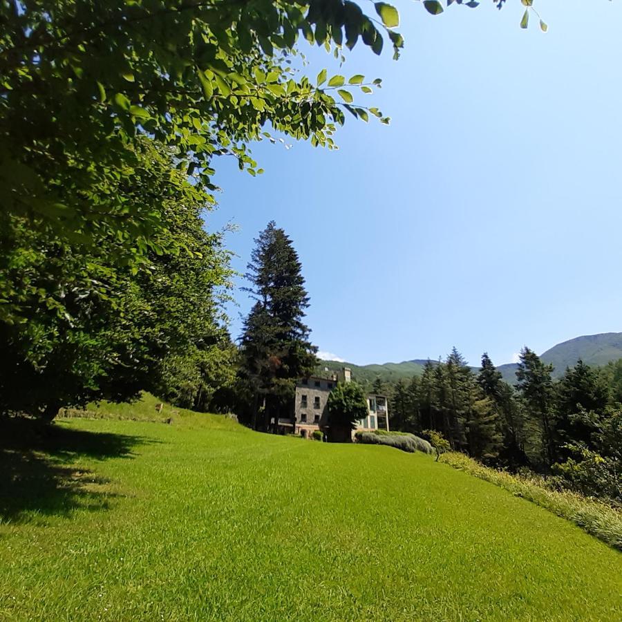 Il Bosco Di Campo Marzano Studios Borzonasca Екстер'єр фото