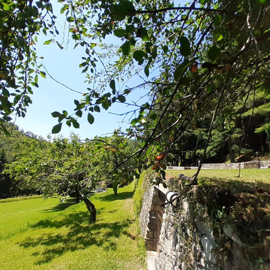 Il Bosco Di Campo Marzano Studios Borzonasca Екстер'єр фото