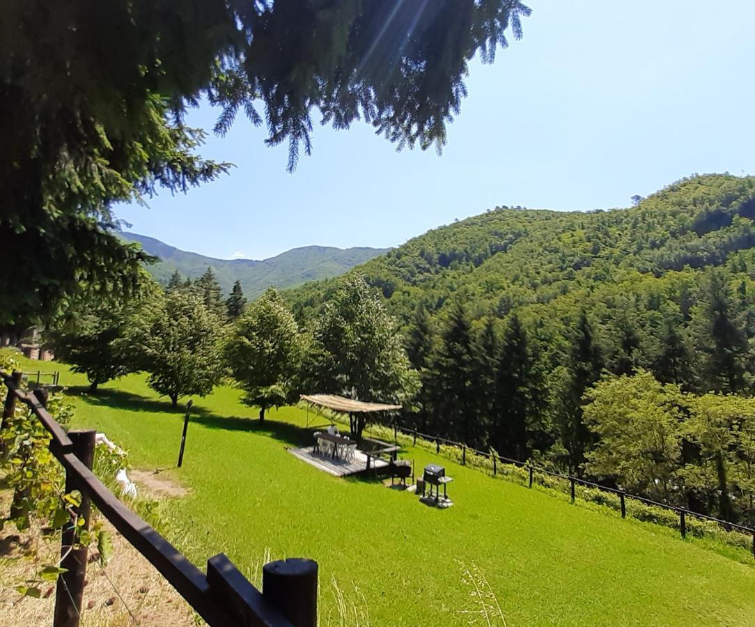 Il Bosco Di Campo Marzano Studios Borzonasca Екстер'єр фото